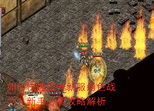 如何快速提升新服角色战力?新手必看攻略解析 如何快速提升新服角色战力?新手必看攻略解析