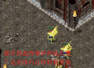 �¿���Ѫ����SF����̫������Щ�����������ɱ�ǿ