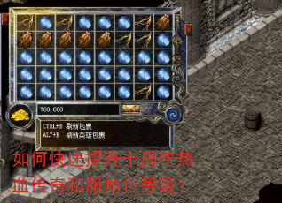如何快速提升十周年热血传奇私服角色等级? 如何快速提升十周年热血传奇私服角色等级?