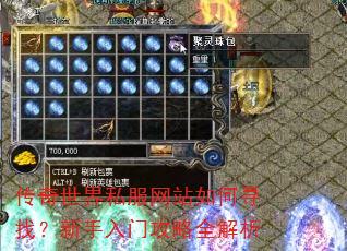 传奇世界私服网站如何寻找?新手入门攻略全解析 传奇世界私服网站如何寻找?新手入门攻略全解析