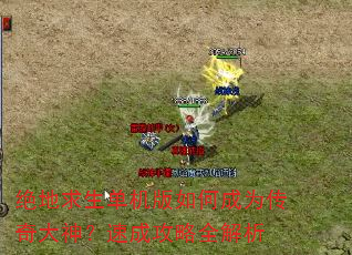 ����������������γ�Ϊ��������ٳɹ���ȫ����