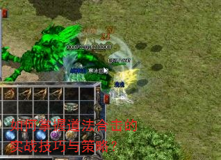 如何掌握道法合击的实战技巧与策略? 如何掌握道法合击的实战技巧与策略?