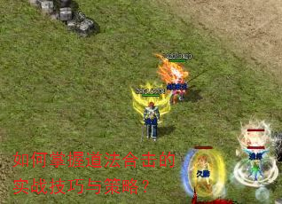如何掌握道法合击的实战技巧与策略? 如何掌握道法合击的实战技巧与策略?