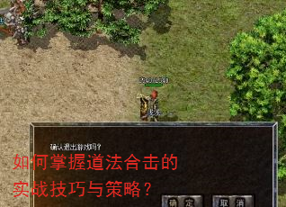 如何掌握道法合击的实战技巧与策略? 如何掌握道法合击的实战技巧与策略?