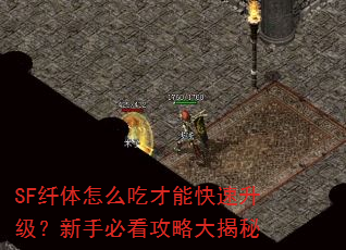 SF纤体怎么吃才能快速升级?新手必看攻略大揭秘 SF纤体怎么吃才能快速升级?新手必看攻略大揭秘