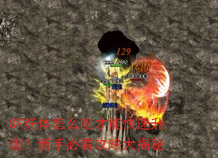 SF纤体怎么吃才能快速升级?新手必看攻略大揭秘 SF纤体怎么吃才能快速升级?新手必看攻略大揭秘