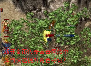 新开金币传奇合击网站中如何快速提升角色等级? 新开金币传奇合击网站中如何快速提升角色等级?