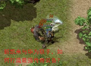 �¿����뻪Ϊ���֣���δ�����ǿ����װ����