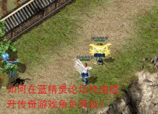 如何在蓝精灵论坛快速提升传奇游戏角色等级? 如何在蓝精灵论坛快速提升传奇游戏角色等级?