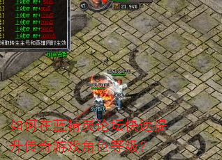 如何在蓝精灵论坛快速提升传奇游戏角色等级? 如何在蓝精灵论坛快速提升传奇游戏角色等级?